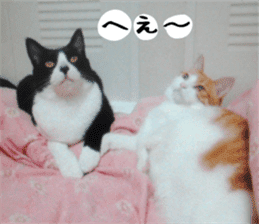 sticker japan cat&gin Photo version 2 sticker #13592233