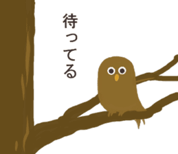 Chick and Owl and Chicken. sticker #13592483