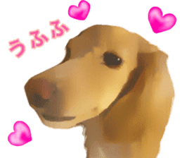 Minuature dachshund sticker #13592766