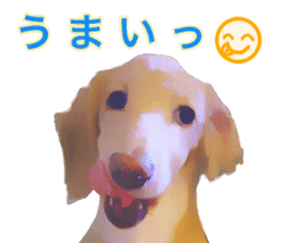 Minuature dachshund sticker #13592768