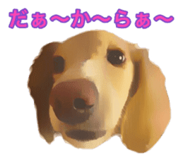 Minuature dachshund sticker #13592769