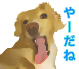 Minuature dachshund sticker #13592774