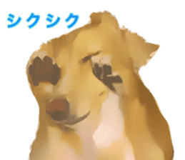 Minuature dachshund sticker #13592775