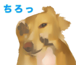 Minuature dachshund sticker #13592776