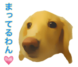 Minuature dachshund sticker #13592777