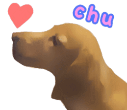 Minuature dachshund sticker #13592778