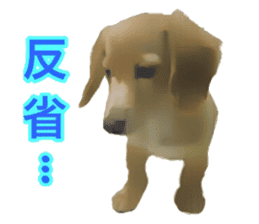 Minuature dachshund sticker #13592782