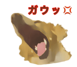 Minuature dachshund sticker #13592785