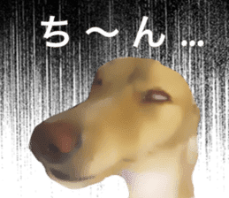 Minuature dachshund sticker #13592788