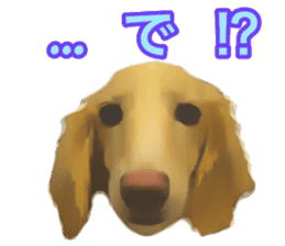 Minuature dachshund sticker #13592792