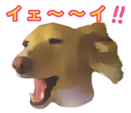 Minuature dachshund sticker #13592796