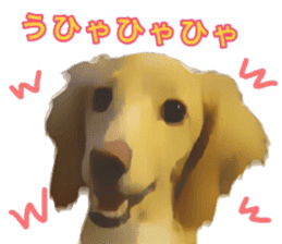 Minuature dachshund sticker #13592797