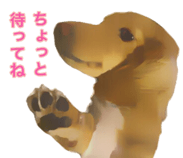 Minuature dachshund sticker #13592804