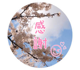 Convey a thank you along with the flower sticker #13593494