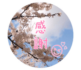 Convey a thank you along with the flower sticker #13593494