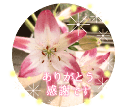 Convey a thank you along with the flower sticker #13593497