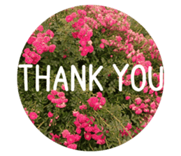 Convey a thank you along with the flower sticker #13593498