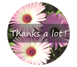 Convey a thank you along with the flower sticker #13593500