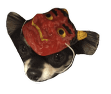 TAKU of Chihuahua sticker #13594141