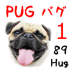 [Photo?] PUG dog part.1