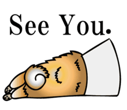 Shiba with a collar sticker #13594965