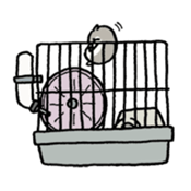 "ojaga" of Djungarian hamster sticker #13595836