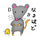 Rattata in daigaku sticker #13596377