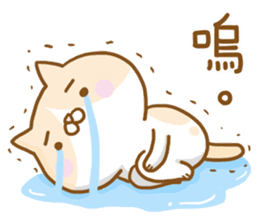 Cat lover's diary-Emily&Pocky sticker #13596841