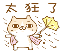 Cat lover's diary-Emily&Pocky sticker #13596852