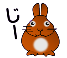 Konatsu & Koharu sticker #13597258