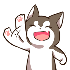 Husky HAHA Face Time