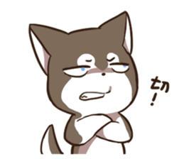 Husky HAHA Face Time sticker #13598735