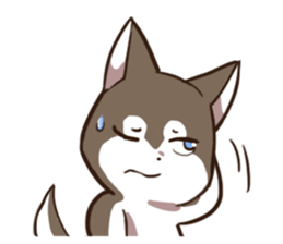 Husky HAHA Face Time sticker #13598736