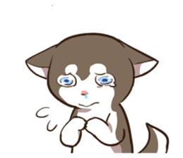 Husky HAHA Face Time sticker #13598752