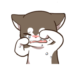 Husky HAHA Face Time sticker #13598753