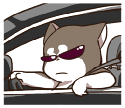 Husky HAHA Face Time sticker #13598754