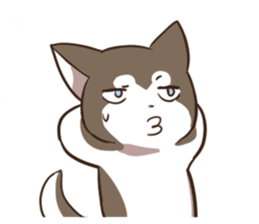 Husky HAHA Face Time sticker #13598759
