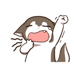 Husky HAHA Face Time sticker #13598761