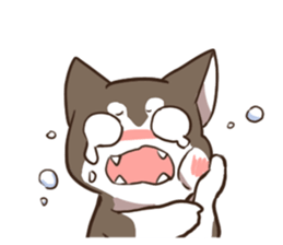 Husky HAHA Face Time sticker #13598762