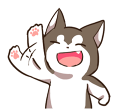 Husky HAHA Face Time sticker #13598773