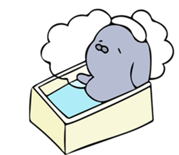 Prue of the rabbit sticker #13598797