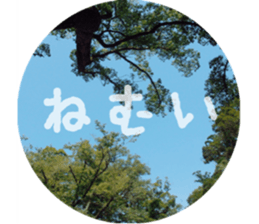 It will be fine tomorrow. sticker #13599016