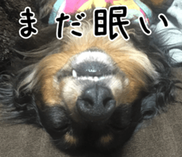 nachigoro kingdom sticker #13599153