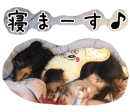 nachigoro kingdom sticker #13599155