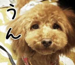 nachigoro kingdom sticker #13599158