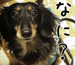 nachigoro kingdom sticker #13599159