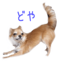 Sticker of Cereza 2 sticker #13599499