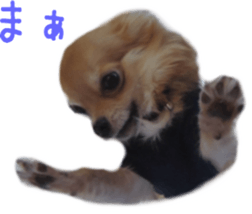 Sticker of Cereza 2 sticker #13599501