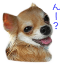 Sticker of Cereza 2 sticker #13599502