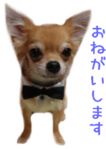 Sticker of Cereza 2 sticker #13599505